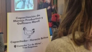 Lee más sobre el artículo Mujeres rurales transforman territorios a través del trabajo en red